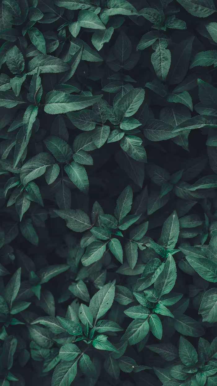 Three Questions That Change Every Conversation