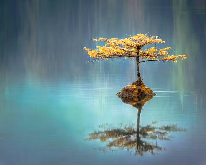 Growth
Coaching