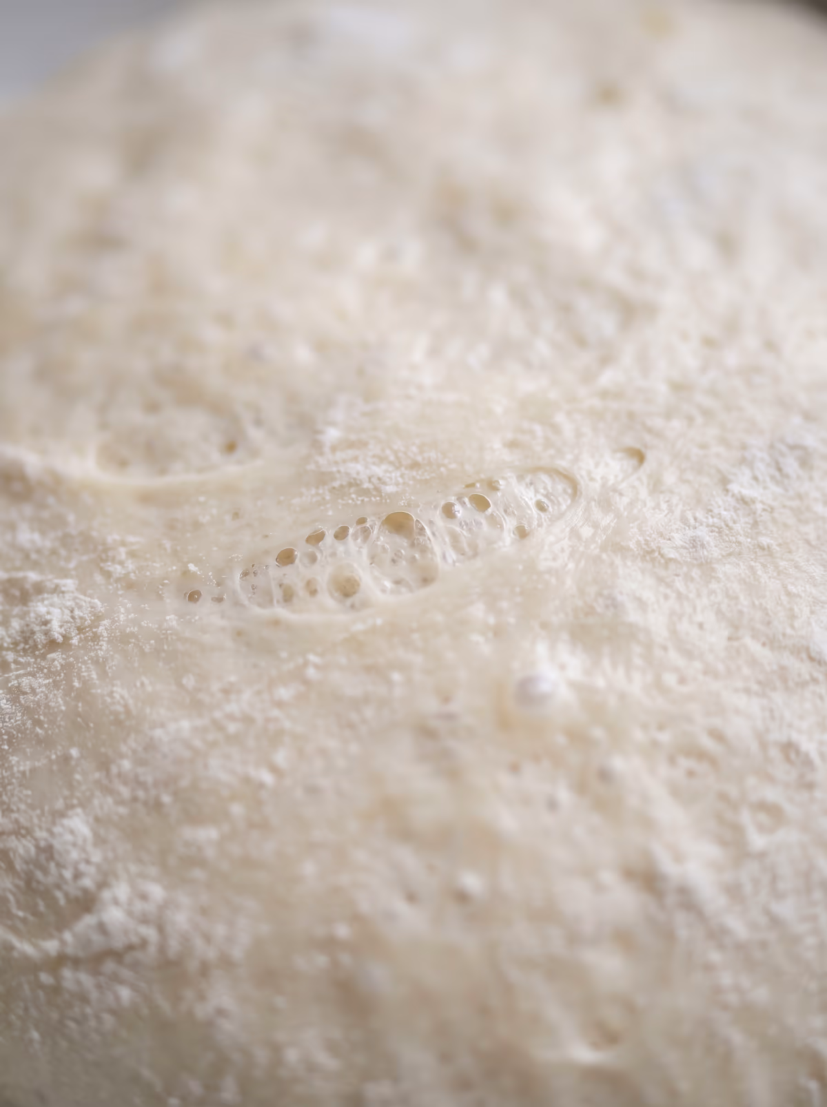 The open crumb of a proving dough, close enough to count the bubbles