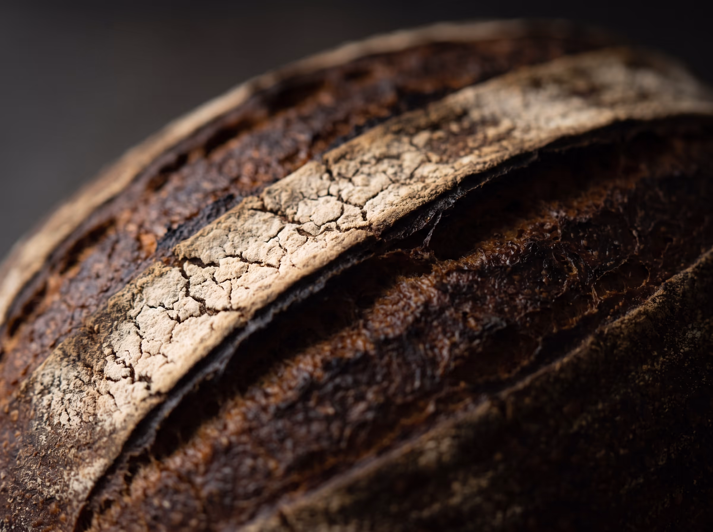 A scored sourdough boule, the ear cracked open along the slash