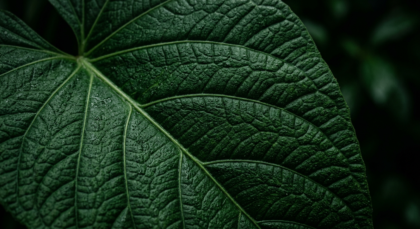 Botanical