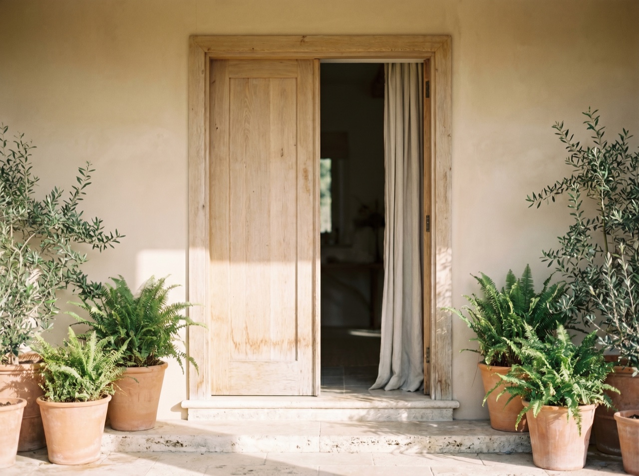 A sunlit studio entrance framed by soft greenery